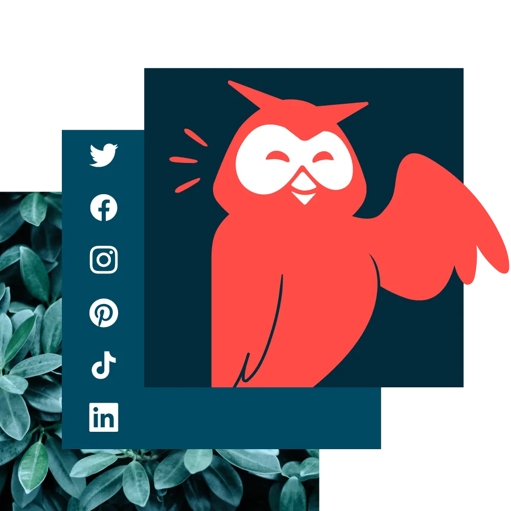 Owly banner image